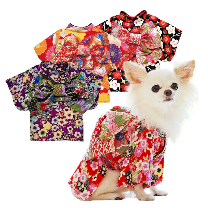 犬服 3S わんこの普段着 フルーツカシェモア きなり（コジコジなりきり 
