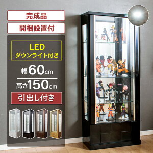 500~OFFN[|zzI`11/11()1:59܂Ł RNVP[X LED _ECgt ot RNV{[h KXP[X nC^Cv 60cm i V[P[X  LI