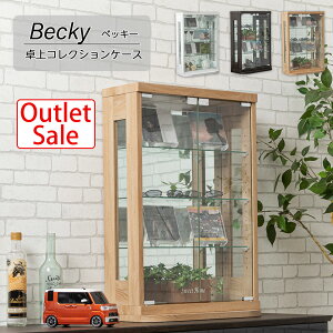 y󂠂 AEgbgz RNVP[X 50cm i ^ ^ RNV{[h KXV[P[X V[P[X LIP[X RNVbN JE^[ َq 