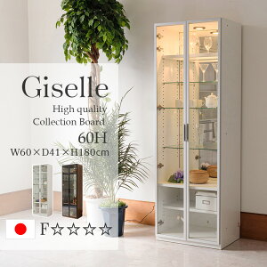 1000~OFFN[|zzI`12/11 1:59܂ RNV{[h Y ^ 60cm led Cgt RNVP[X kǖʎ[ V[P[X KXP[X wʃ~[ nC^Cv W[60H