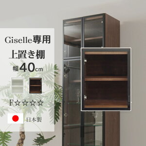 ԌP5{(vGg[)`11/27()1:59 Y RNV{[h u 40cm ǖʎ[ RNVP[X KX i V[P[X  LIP[X [ [W[pu