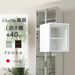 1000~OFFN[|zzI`12/11 1:59܂ Y RNV{[h u 40cm ǖʎ[ RNVP[X KX i V[P[X  LIP[X [ [W[pu