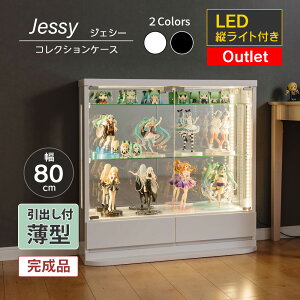 500~OFFN[|zzI`11/11()1:59܂Ł yAEgbgz RNVP[X ot ^ LED c e[vCg 80cm i RNV{[h KXP[X V[P[X L