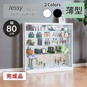 1000~OFFN[|zzI`9/11()1:59܂Ł RNVP[X ^ 80cm [^Cv i RNV{[h KXV[P[X V[P[X  LIP[X tBMAP