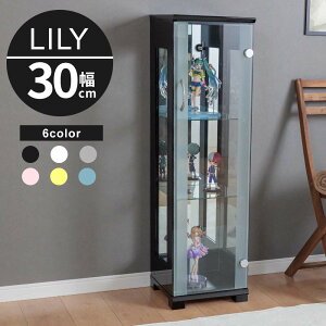 z Ώەi`12/11()1:59܂ RNVP[X V[P[X KXP[X ^  AeB[N P[X ~[ 30cm X^Cv RNV{[h KXV[P[X 