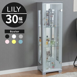 RNVP[X V[P[X KXP[X ^  AeB[N P[X ~[ 30cm X^Cv RNV{[h KXV[P[X ~h LIP[X RNV