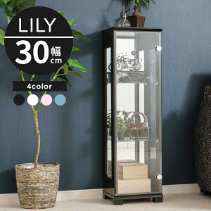 y|Cg3{I`11/16()23:59܂Łz y󂠂 AEgbgzRNV{[h 30cm ~h^Cv RNVP[X KXP[X V[P[X LIP[X RNVbN 