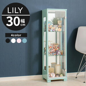 y󂠂 AEgbgzRNV{[h 30cm ~h^Cv RNVP[X KXP[X V[P[X LIP[X RNVbN yB30z