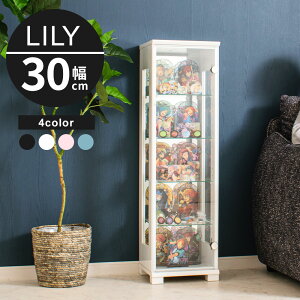 y󂠂 AEgbgzRNV{[h 30cm ~h^Cv RNVP[X KXP[X V[P[X LIP[X RNVbN yB30z