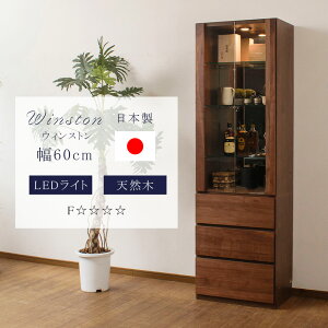 VR RNVP[X Y ؐ ^ 60cm led Cgt RNV{[h LIP[X  ǖʎ[ V[P[X KXP[X wʃ~[ nC^Cv EBXg60H