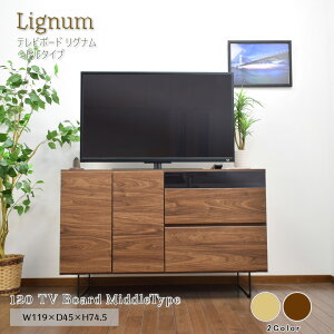 er{[h 120 i ACA rt ~h{[h Lrlbg 119cm s45cm 74.5cm ؖ JݒuyOi~h120z