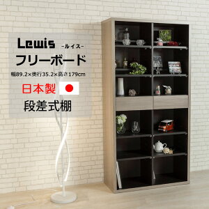 t[{[h I[v{[h bN {I VFt I ړI ЂȒd o ǖʎ[ A4Ή 90 s35 180 yJݒutz lewis CXA^Cv