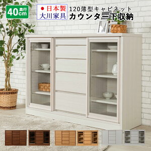 120 JE^[[  o s40cm 120cm ^ rO[ Lb`[ Lrlbg i { Ƌ Tj[ ؖڒ