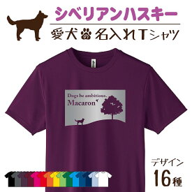 【名入れTシャツ】 シベリアンハスキー ハスキー 愛犬 犬 犬服 服 飼い主用 オーナー オリジナル プリント グッズ 名前 名入れ Tシャツ シルエット 半袖 メンズ レディース キッズ 大きめ 小さめ シンプル おしゃれ プレゼント 贈り物