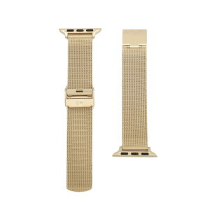 �_�j�G���E�F�����g�� DANIEL WELLINGTON �ւ��x���g�A�b�v���E�H�b�`�p ���O��18mm dw01200018 Apple Watch38mm/40mm/41mm�K�� ���b�V�� �S�[���h