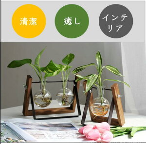水耕栽培キットの通販 価格比較 価格 Com