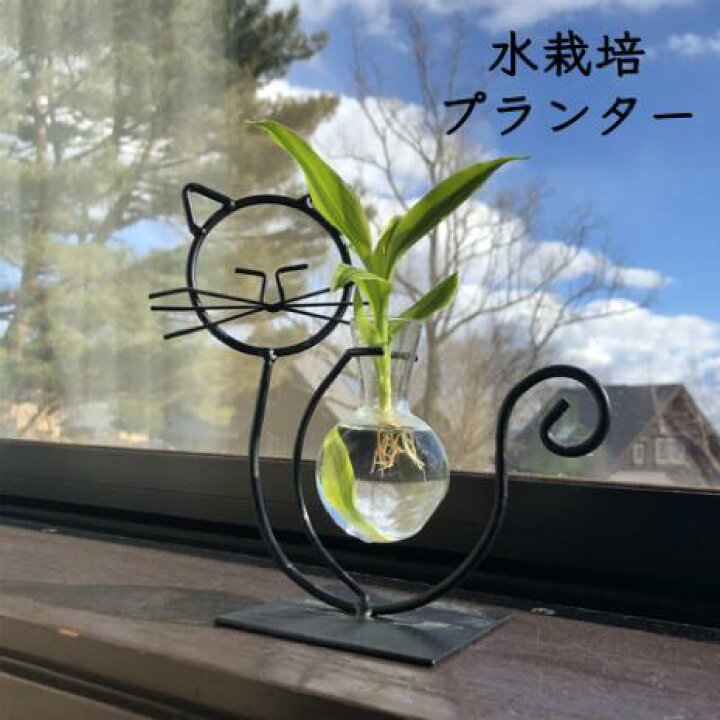 楽天市場 ラッピング可 スチールワイヤーキャット 観葉植物付き 水栽培 グリーン 観葉植物 おしゃれ鉢 雑貨 インテリア ハイドロカルチャー 植木鉢 引っ越し祝い プレゼント 開店祝い お返し プチギフト 棚 花 卓上サイズ 猫 ネコグッズ キャット 雑貨 エコポッチ