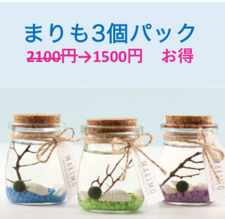 楽天市場 まりも プディング 3個セット お得 ステイホーム 熱帯魚 子供室内 飼育セット アクアリウム エビ 観賞用 インテリア 癒しグッズ ホロホロシュリンプ ビクシー スターターフィッシュ 水槽セット メダカ 魚 おもしろ雑貨 テラリウム 北海道 阿寒湖 置物 天然