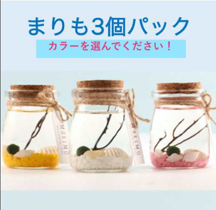楽天市場 まりも プディング 3個セット お得 ステイホーム 熱帯魚 子供室内 飼育セット アクアリウム エビ 観賞用 インテリア 癒しグッズ ホロホロシュリンプ ビクシー スターターフィッシュ 水槽セット メダカ 魚 おもしろ雑貨 テラリウム 北海道 阿寒湖 置物 天然 楽天市場 まりも プディング 3個セット お得 ステイホーム 熱帯魚 子供室内 飼育セット アクアリウム エビ 観賞用 インテリア 癒しグッズ ホロホロシュリンプ ビクシー スターターフィッシュ 水槽セット メダカ 魚 おもしろ雑貨 テラリウム 北海道 阿寒湖 置物 天然
