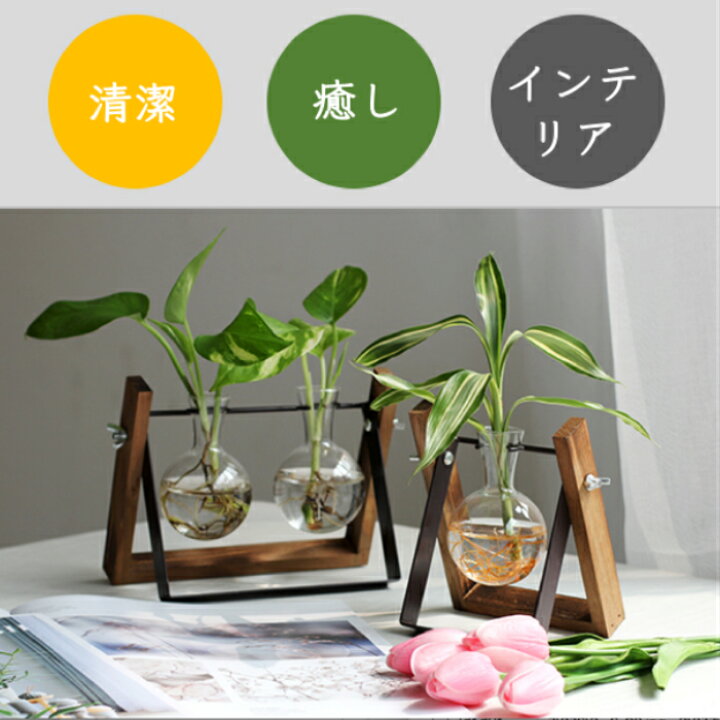 楽天市場 ティピーアクア プラント2本 観葉植物付き 水栽培 ポット セット 花瓶 水耕栽培 キット グリーン 緑 ミニ 観葉植物 おしゃれ鉢 雑貨 インテリア ハイドロカルチャー 植木鉢 引っ越し祝い プレゼント 開店祝い お返し プチギフト 花 エコポッチ 多肉植物