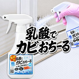 カビ取り カビ取り剤 浴室洗剤 400ml 除菌 日本製 浴室用 風呂 水まわり 畳 乳酸 トイレ 洗面台 非塩素系 業務用 乳酸でカビおちーる 新生活