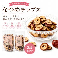 なつめチップス 100g×2袋 砂糖不使用 ノンフライ 添加物不使用 なつめ ナツメ 棗ドライフルーツ おやつ …
