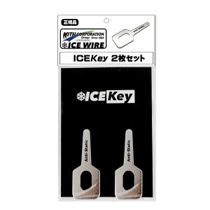 �A�C�X�L�[ 2���� �y���K�i�z �Ód�C���� ICE KEY ��C���d �ѓd�h�~���b�V���[ Anti Static �ȒP��t �A�C�X���C���[�V���[�Y�y���l�R�|�X�z���z�e���r�ԑg carXs �J�[�G�b�N�X �Љ�i �E�B�Y�R