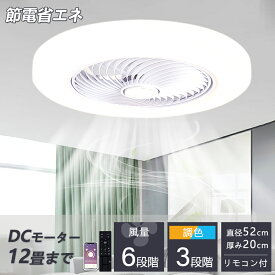 シーリングファンライト 5年保証 シーリングライト DC シーリングファン 8畳 10畳 おしゃれ 軽量 薄型 ファン付き LED 扇風機 小型 調光調色 北欧 リモコン スマホ 脱衣所 寝室 居間省エネ リビング プレゼント