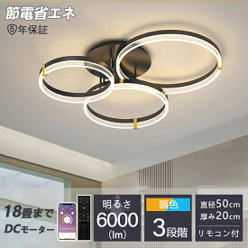 【2025最新型】【5年保証】シーリングライト LED 調光調色 照明 おしゃれ 北欧 リモコン付き スマホ操作 照明器具 6畳 8畳 10畳 天井照明 インテリア ライト 和室 洋室 節電 省エネ リビング照明 寝室 北欧 カフェ モデルハウス 電気 食卓 間接照明 45~55cm