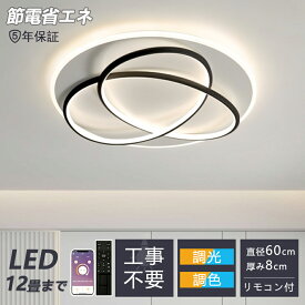 【2025最新型】シーリングライト LED 円型 5年保証 おしゃれ 調光調色 北欧 照明器具 6畳 8畳 10畳 12畳 照明 天井照明 ダイニング 省エネ 寝室 和室 洋室 シンプル 明るい リビング用 居間用 食卓用 新デザイン 特別 オシャレ 洋風 花形 省エネ