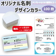 名刺 印刷 カラー オリジナル名刺 【100枚】【テンプレートで簡単注文！】 名刺印刷 作成 ショップカード…
