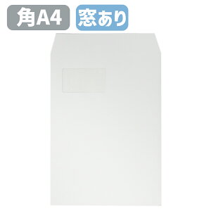  pA4 t pA4t Ȃ  zCg Pg  100g OV GR A4TCY A4 228×312 p `OX vCoV[ی ~GiC    