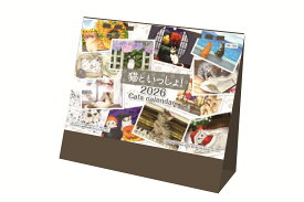 卓上カレンダー 2026年 1月始まり 猫といっしょ！ 猫カレンダー AA-103 AA103 3ヶ月卓上 おしゃれ かわいい シンプル オフィス カラフル イラスト 猫 キャット 猫グッズ