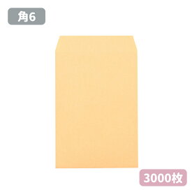 角6 クラフト 封筒 紙厚85g【3000枚】162×229 A5サイズ 角6封筒 無地 角形6号 茶封筒 A5 A5封筒