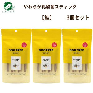 hbOc[ 炩_ۃXeBbN 6{ DOGTREE () 3Zbg   t[h