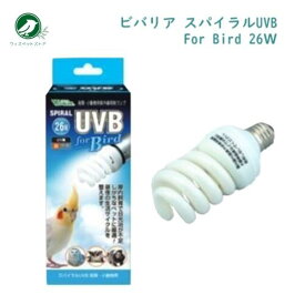 ビバリア スパイラルUVB For Bird 26W BR-200 / 小鳥 モモンガ フクロウ 紫外線 ライト バード 鳥 電球 日光浴