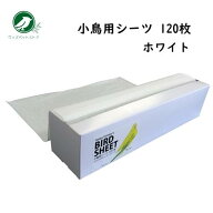 小鳥 シーツ ハッピーホリディ 小鳥用シーツ 120枚 ホワイト インコ 文鳥 尿 糞 掃除用シーツ