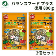 リス ハムスター えさ マルカン バランスフード プラス 徳用 800g 2個セット エサ 餌