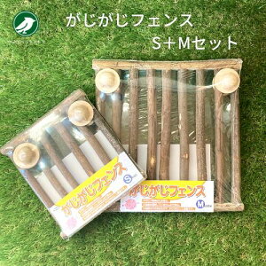 JC tFX M + S Zbg  fO[ `` bg  tFX VR  KAWAI