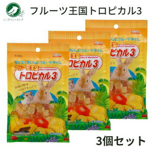 1000~|bL   nX^[  Xh[ t[c gsJ3 70g 3܃Zbg  |Cg