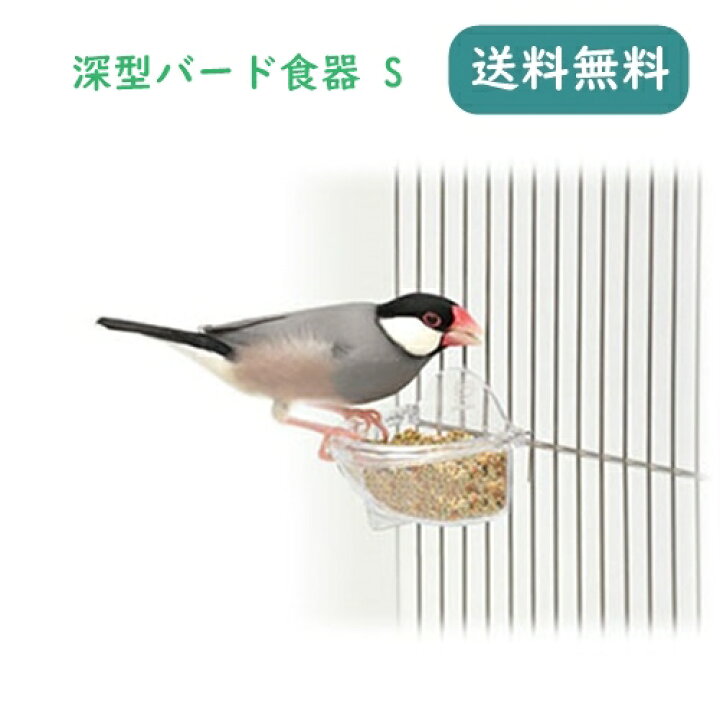 楽天市場】インコ ブンチョウ 小鳥 エサ入れ 三晃商会 深型バード食器 S : ウィズペットストア 楽天市場】インコ ブンチョウ 小鳥 エサ入れ 三晃商会 深型バード食器 S : ウィズペットストア
