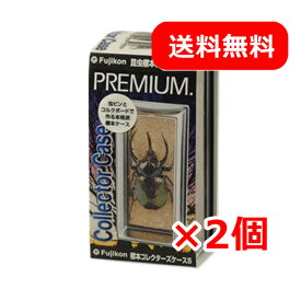 楽天市場 カブトムシ標本セットの通販