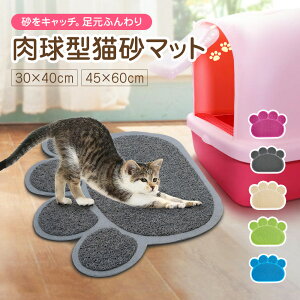 }bg L  }bg L}bg }bg gC}bg ~ 􂦂 PVCf ӂ LgC}bg U炩h~  킢 30×40cm 45×60cm