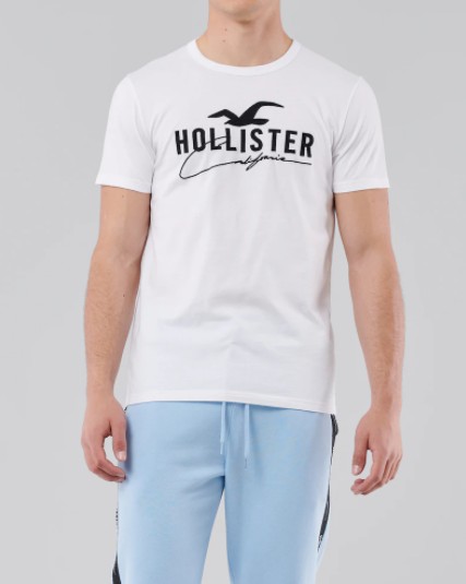 Hollister　ホリスター　メンズ Ｔシャツ●6795&6793&6794 EMBROIDERED LOGO GRAPHIC TEE  ホワイトアメカジ アメリカン Tシャツ HOLLISTER新作 本物 正規品 アメリカ買付　USA直輸入 | Ｗｉｔ＠ＵＳＡ