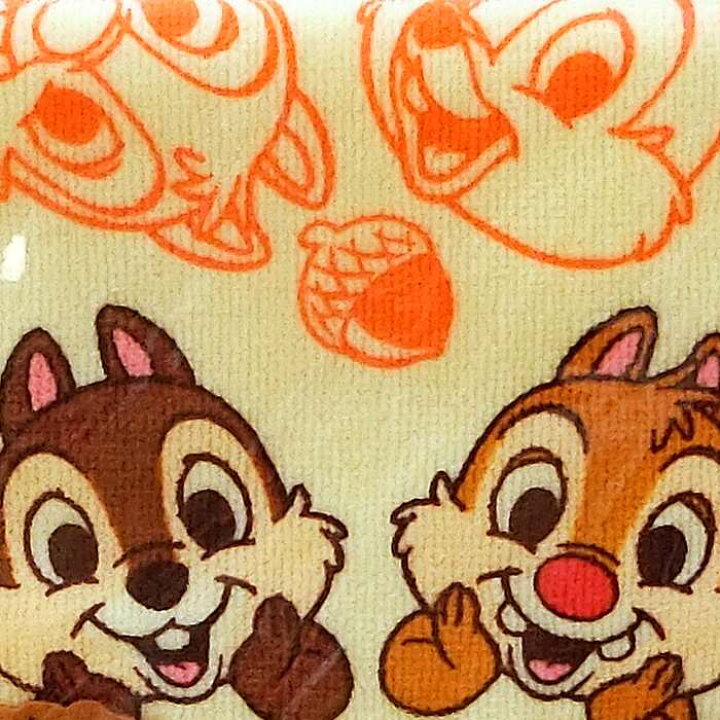 楽天市場 東京ディズニーリゾート ディズニー チップ デール 刺繍 ウォッシュタオル ハンドタオル ゲストタオル 無料ギフトラッピング Tdr ディズニーランド ディズニーシー チップ デール チップとデール おみやげ お土産 どんぐり ししゅう ウィズマウス 楽天市場店