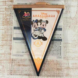 y2023 4/10z h[K[h y93z AoT_[ ze 40N fBYj[h fBYj[ ʔ yY ݂₰ ~bL[}EX ~j[}EX h[S[Eh TDL ]