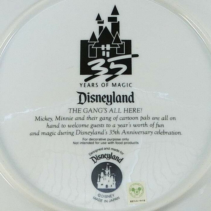 楽天市場】カリフォルニア アナハイム ディズニーランド USA 35周年 絵 