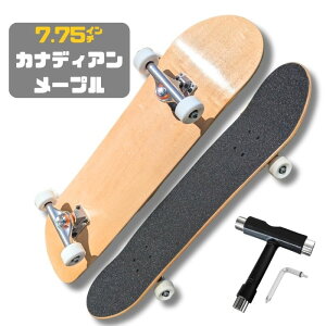 XP[g{[hRv[g i 6.0`8.25C`Ή ql܂Ŋy߂ I[Ehf S LbY l XP{[ XP[g{[h uh Rv[g comple