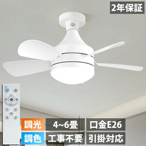 y5Nۏ؁zV[Ot@ F E26 3iKʒ Ɩ t@t V[OCg V[Ot@Cg T[L[^[  Rt Cz LED @ Â