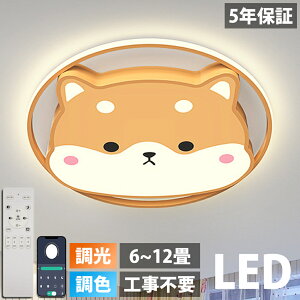 y5Nۏ؁zV[OCg F 킢 V[OCg q rO Ɩ V[OCg k R F 6 8 10 12 V[OCg led V[OC